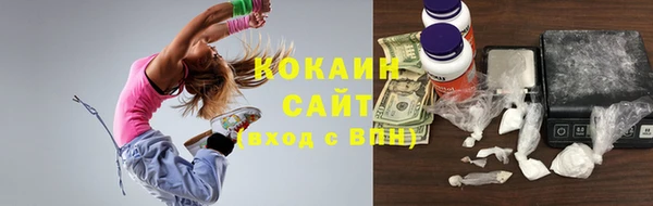 твердый Арсеньев