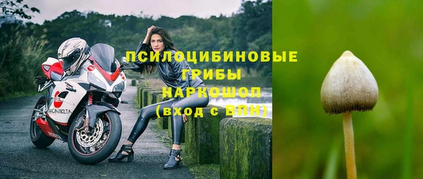 твердый Арсеньев